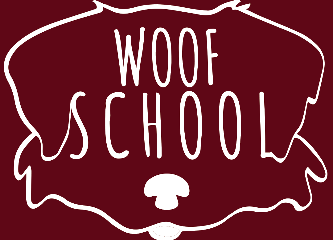 Création du logo de Woof School à partir d'un dessin par Emacrea web agency